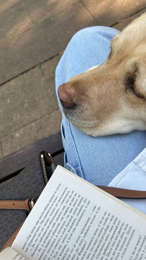 #dog #reading #books #aesthetic Dog Owner Aesthetic, With Dog Aesthetic, Reading Books Aesthetic, Dog Reading, Dog Aesthetic, Books Aesthetic, 2025 Vision, Reading Books, Dog Owner