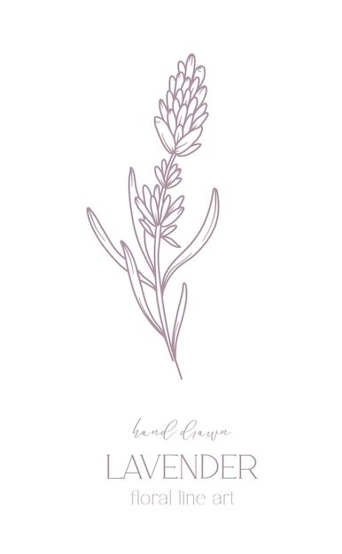 Lavender Line Drawing, Lavender Line Art, White Floral Bouquets, Drawing Black And White, Floral Line Art, Drawing Black, Flower Coloring Pages, Stationery Templates, Business Card Maker