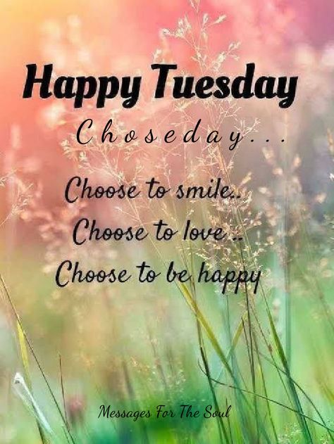 Tuesday Motivation Quotes, Happy Tuesday Pictures, Happy Tuesday Images, Tuesday Quotes Good Morning, Tuesday Greetings, Evening Quotes, Happy Tuesday Quotes, Good Morning Tuesday, Thursday Quotes