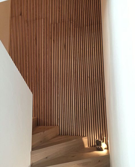 Wood Panel Walls Stairs, Slat Wall Stairwell, Plywood Slat Wall, Wood Slat Wall Stairs, Wood Panels Hallway, Curved Slat Wall, Acoustic Panel Design Ideas, Wood Slat Stair Wall, Slat Wall Stairs