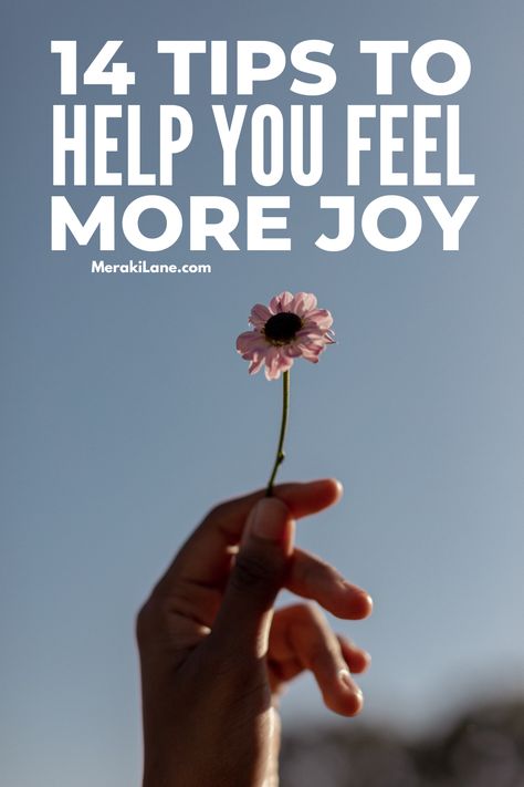 How To Find Joy In Life Again, How To Find Joy Again, How To Find Joy In Life, How To Find Joy, Reset Cleanse, Happiness Habits, The Company You Keep, Living Simply, Growth Quotes