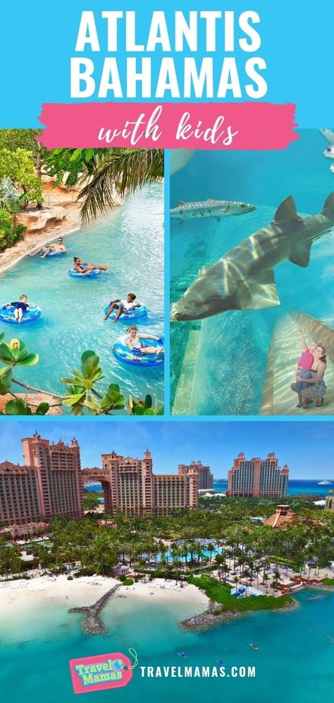 Bahamas With Kids, Animal Interactions, Atlantis Bahamas, Caribbean Vacation, Bahamas Vacation, Caribbean Vacations, Family Vacation Destinations, Family Travel Destinations, Caribbean Travel