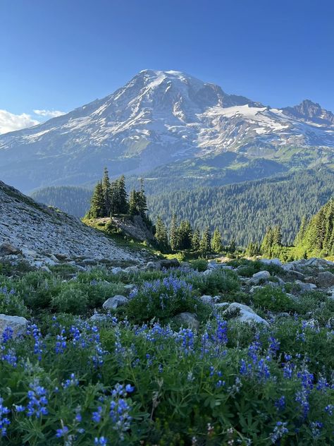 Life In Northwest Washington | Mount Rainer national park Living In Seattle Washington, Rainer National Park, Living In Seattle, Oregon Washington, Seattle Washington, Lock Screen, North West, Travel Dreams, Painting Inspiration