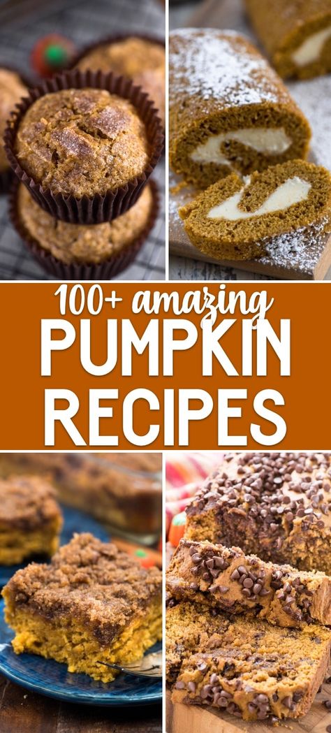 Over 100 Pumpkin Dessert recipes that are perfect for fall! From cakes to cookies to pies, breads and more, this list of fantastic pumpkin recipes is sure to be a hit! Halloween Pumpkin Recipes, Fresh Pumpkin Recipes, Pumpkin Dessert Recipes, Pumpkin Cake Easy, Pumpkin Fudge, Pumpkin Sheet Cake, Fall Recipes Pumpkin, Pumpkin Coffee Cakes, Pumpkin Recipes Easy