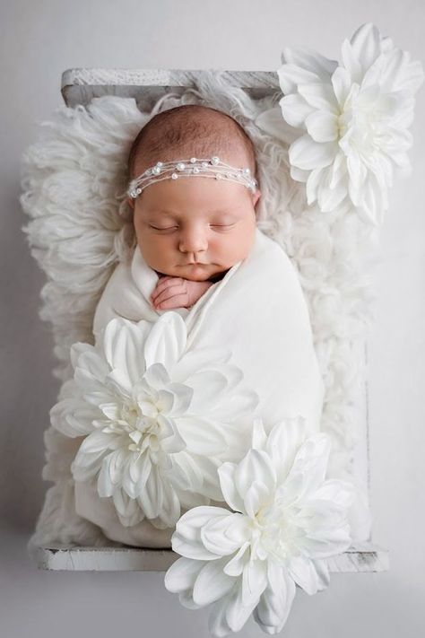 This was a newborn session I just recently had, with a full white theme. No pops of color, but I love how these images turned out. So elegant and beautiful. Newborn Photography White, Newborn Photography Props, Baby Photoshoot, Newborn Session, Newborn Girl, Photography Props, Newborn Photos, Baby Photography, Sacramento