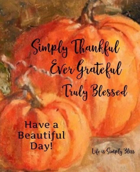 New Month Quotes, Incredible Quote, Daily Grace, Inspirational Qoutes, Happy Morning Quotes, Writer Inspiration, Thankful Thursday, Holiday Quotes, Thanksgiving Quotes