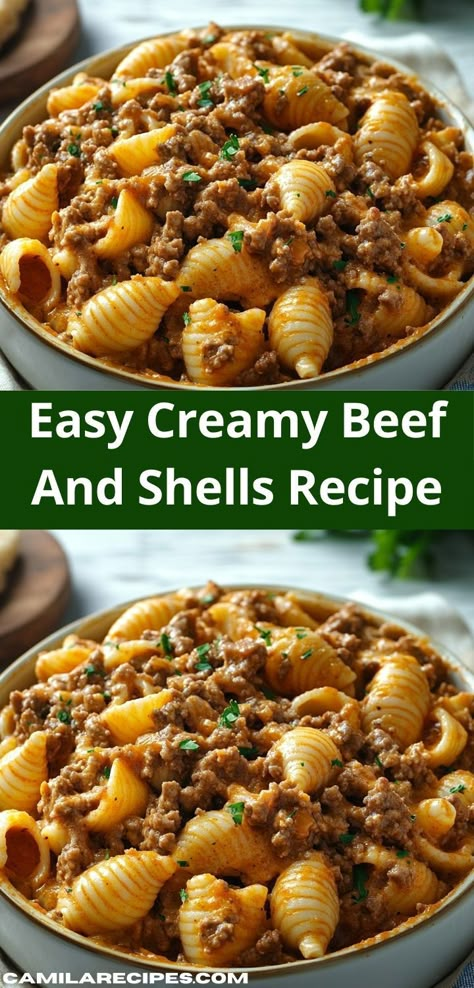 Craving something comforting? This Easy Creamy Beef and Shells is a quick and satisfying option that delivers on flavor and ease, making it an ideal choice for busy evenings or casual family gatherings. Dinner Ideas Easy Beef, Beef Ground Recipes, Tasty Ground Beef Recipes, Casserole Recipes With Ground Beef, Delicious Ground Beef Recipes, Creamy Beef And Shells, Beef And Shells, Comfort Pasta Dishes, Quick Ground Beef Recipes