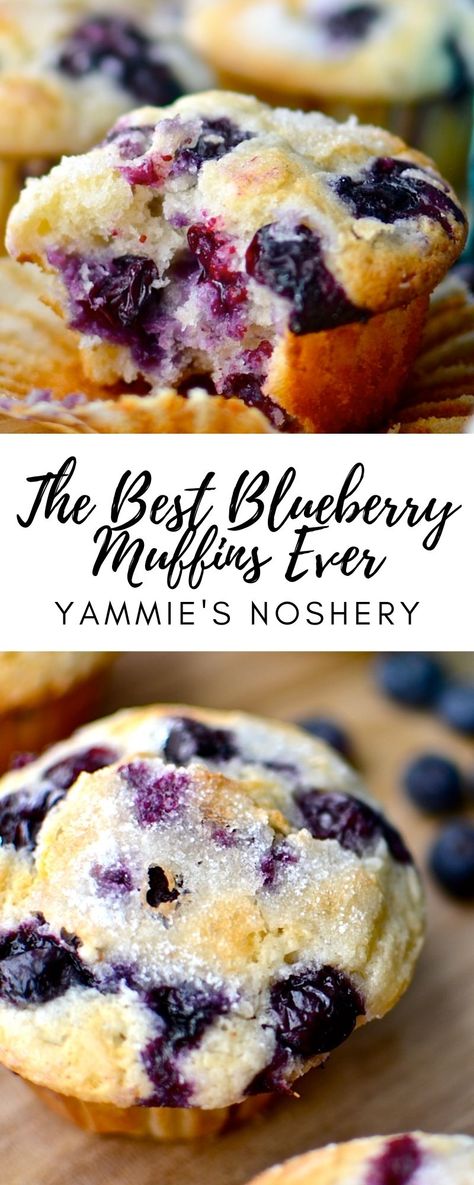 The Best Blueberry Muffins, Blueberry Muffin Recipe, Best Blueberry Muffins, Blueberry Desserts, Slow Cooker Desserts, Muffin Recipes Blueberry, Homemade Muffins, Blueberry Muffin, Blueberry Recipes