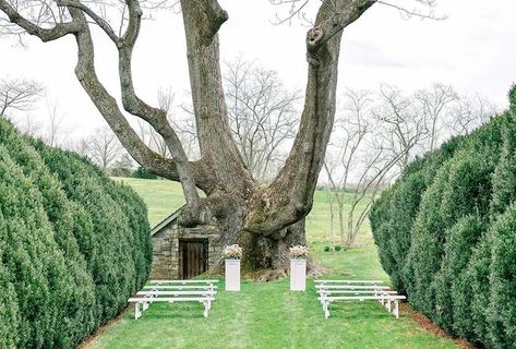 10 Small Wedding Venues Virginia Virginia Wedding Venues Inexpensive, Virginia Beach Wedding Venues, Micro Wedding Venues, Small Intimate Wedding Venues, Wedding Venues Virginia, West Virginia Wedding Venues, Small Wedding Venues, Forest Wedding Venue, Virginia Fall