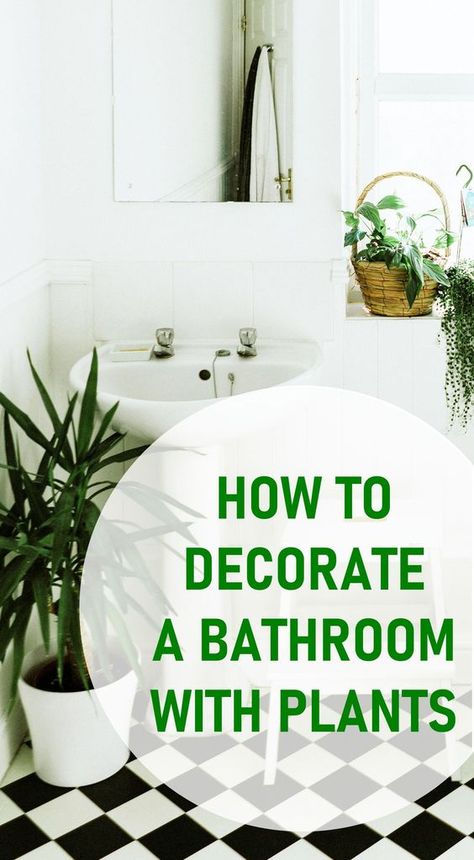 How to Decorate Your Bathroom with Plants, Houseplant Decor, Decorating with Houseplants, Bathroom Houseplants Greenery In Bathroom Ideas, How To Add Plants To Your Bathroom, Indoor Plants Styling Bathroom, Live Plants In Bathroom, Bathroom Small Plants, Flowers In Toilet, Bathroom Plant Decor Ideas Modern, Plants In Restroom, Plants By Bathtub