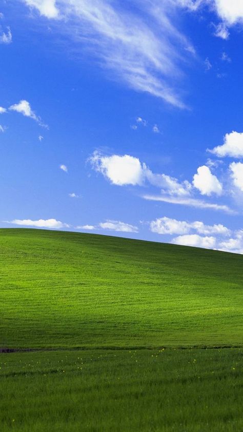 Windows Xp Wallpaper, Wallpaper For Android, Hd Wallpaper Android, Windows Wallpaper, Tropical Wallpaper, Backgrounds Phone Wallpapers, Wallpaper Cave, Windows Xp, Rose Flowers