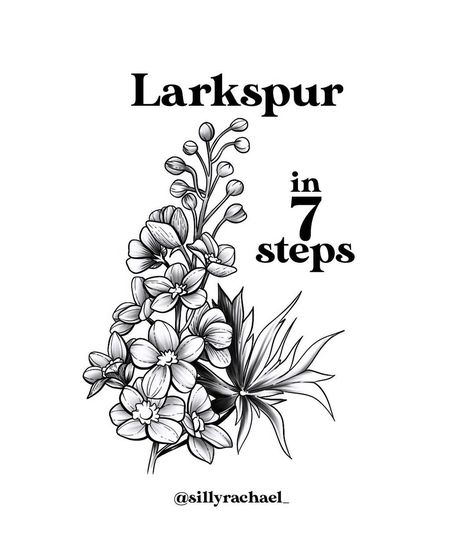 Rachael 🌱 Floral Artist | Draw a Larkspur in 7 steps! Flowers like these have always really intimidated me (they still do to be 100% transparent). I always prefer… | Instagram Larkspur Flower Drawing, Larkspur Drawing, Round Flowers, Larkspur Flower, Botanical Line Drawing, Flower Line Drawings, Flowers Instagram, Drawing Flowers, Flower Sketches