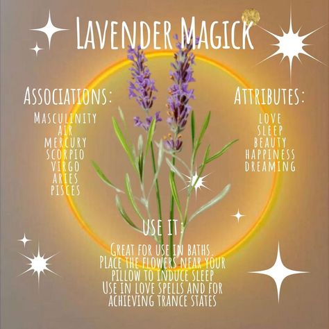 Lavender Witchcraft Uses, Spells To Attract Love, Plant Symbolism, Modern Witchcraft, Virgo And Aries, Lavender Crafts, Witchcraft Magic, Beauty Spells, Lavender Perfume