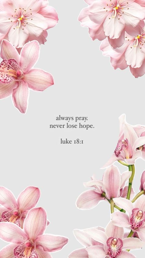 christian collage, “always pray, never lose hope” Luke 18:1 Always Pray Never Lose Hope, Cute Bible Verses, Christian Iphone Wallpaper, Always Pray, Wallpaper Bible, Cute Bibles, Motivational Bible Verses, Christian Quotes Wallpaper, Christian Backgrounds