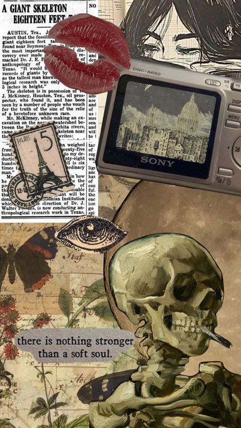 Anthropology Aesthetic Wallpaper, Archaeologist Aesthetic Wallpaper, Biological Anthropology Aesthetic, Anthropology Collage, Forensic Anthropology Aesthetic, Anthropology Wallpaper, Anthropology Poster, Skeletons Aesthetic, Anthropology Aesthetic