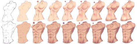 How I paint Torso - Female and Male by https://www.deviantart.com/rika-dono on @DeviantArt 남성 근육, Shading Drawing, Body Tutorial, Drawing Help, Visual Library, Sketching Tips, Digital Painting Techniques, How To Shade, Digital Art Beginner