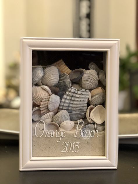 Shells In Shadow Boxes, Shell Memory Craft, Shadow Box Beach Ideas, Diy Seashell Crafts Vacation Memories, Sand And Seashell Crafts, Sand Dollar Shadow Box Ideas, Sea Shell Shadow Box Ideas, Seashell Shadow Box Ideas, Beach Shadow Box Ideas