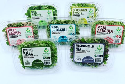 7 Easiest Microgreens to Grow - Hand-Grown Greens Microgreens Garden, Microgreens Recipe, Radish Greens, Indoor Farming, Organic Packaging, Label Ideas, Growing Microgreens, Set Yourself Up For Success, Green Eating