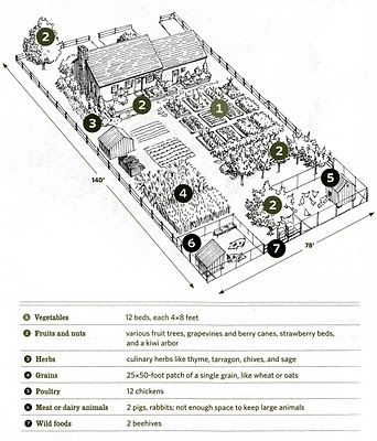 I love these sorts of drawings and very much want to produce one of our own little plot Hobby Farm Layout, Homestead Layout, Acre Homestead, Farm Plans, Homestead Farm, Farm Layout, Herb Gardens, Permaculture Design, Hobby Farm