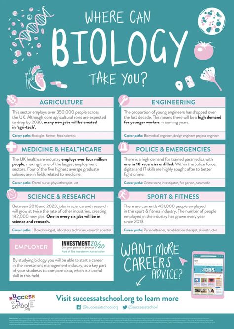 Where can #biology take you? This poster features great #career advice, sectors, actual #jobs and #labour market information, a great visual for #students to understand how their #curriculum links to careers in the real world. Credit: Success for Schools #placingpeoplefirst Career Pathways Ideas, Science Jobs Career, Career In Biology, Careers In Biology, Biology Career Aesthetic, Career Guidance Posters, Career Counseling Poster, Future Jobs Career, Biology Poster Ideas