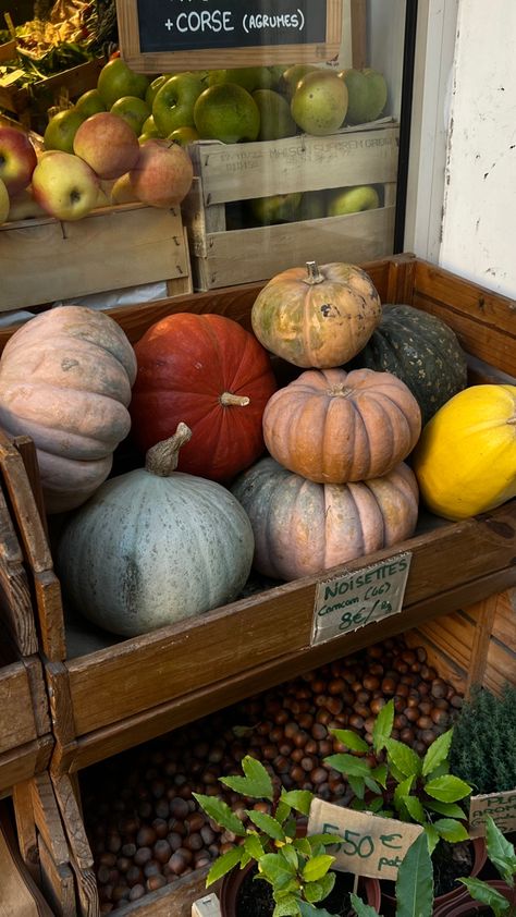 Soft Autumn Aesthetic, Sugar Icing Recipe, Fall Decor Aesthetic, Harvest Display, Brown Sugar Icing, Cute Pumpkins, Charlie Brown Halloween, Halloween Facts, Fall Mood Board