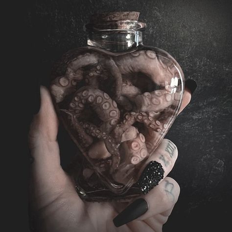 Octopus Tentacle Apothecary Heart Shaped Bottle Real Wet Specimen Taxidermy Valentine's Day Curiosity Bottle - Etsy Wet Specimen Display, Goth Taxidermy, Oddities Aesthetic, Gothic Taxidermy, Oddity Collection, Taxidermy Aesthetic, Bone Taxidermy, Heart Shaped Bottle, Bug Taxidermy