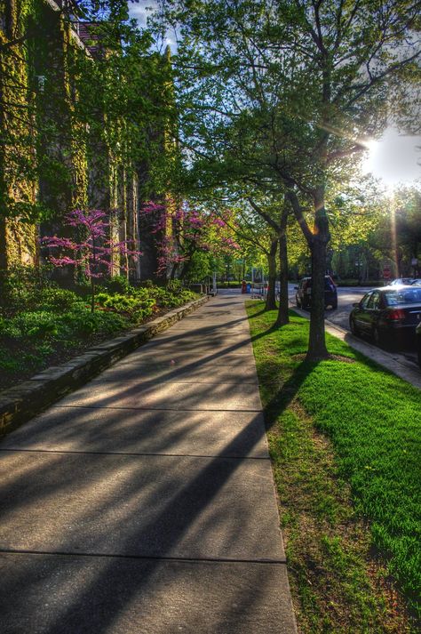 All sizes | One Sunny Afternoon | Flickr - Photo Sharing! University Of Chicago, Centennial Park, Nice Places, The University Of Chicago, Sunny Afternoon, College Park, Northwestern University, College Campus, America And Canada