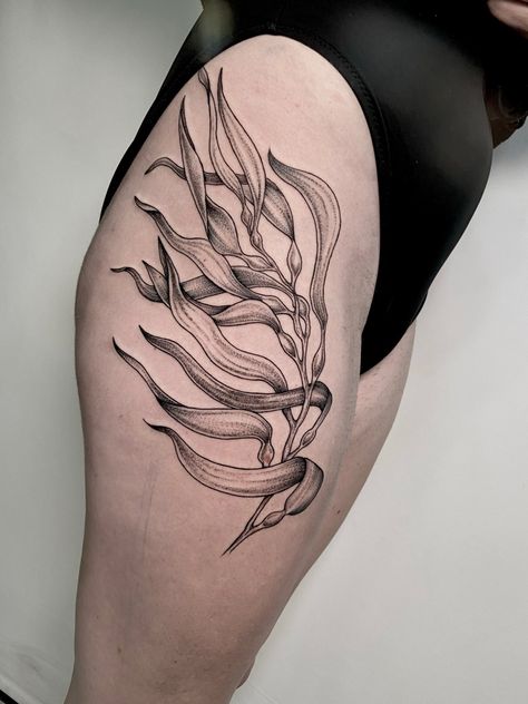 Marine Plants Tattoo, Austrian Tattoo Ideas, Sealife Tattoo Sleeve, Ocean Filler Tattoo Ideas, Giant Kelp Tattoo, Seagrass Tattoo, Kelp Forest Tattoo, Kelp Tattoo Seaweed, Sea Plants Tattoo