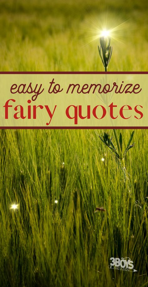 easy to memorize fairy quotes Fairy Poems Beautiful, I Believe In Fairies, Fairy Sayings Favorite Quotes, Cute Fairy Quotes, Fairy Garden Quotes, Fairy Garden Signs And Sayings, Fairy Quotes Short, Fairy Poems Short, Fairy Forest Ideas