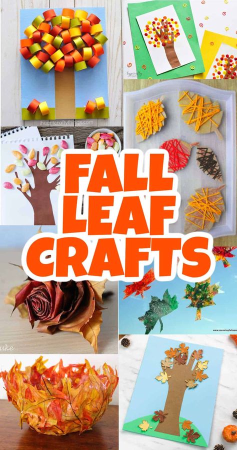 Celebrating the turning of the Autumn leafs with lots of fun Fall leaf crafts. Try one of these Fall leaf crafts including stainglass, Fall Leaves Object Lesson, Fall Leaves Crafts For Infants, Leaf Projects For Preschool, Leaf Kindergarten Crafts, Animals Made From Leaves, Fall Leaf Crafts Kindergarten, Crafts With Fake Leaves, Toilet Paper Roll Crafts Fall Leaves, Fall Leaves Wax Paper Craft