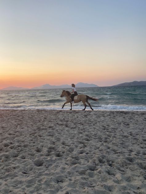 Horse Galloping On Beach, Horse Beach Aesthetic, Horse On Beach Aesthetic, Horse Riding On Beach, Horse Riding Beach, Horse Beach Riding, Horseback Riding Aesthetic, Horses Beach, Equestrian Summer