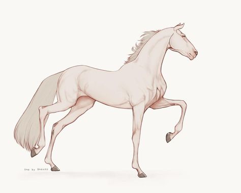 Horse Tail Drawing, Cartoon Horse Sketch, Horse Side Profile Drawing, Horse And Rider Reference, Paint Horse Drawing, Horse Laying Down Drawing, Cute Horses Drawing, Horse Drawing Base, How To Draw Horse