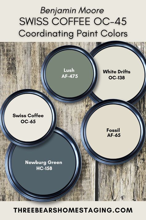 Benjamin Moore Swiss Coffee, Coordinating Paint Colors, Sea Salt Sherwin Williams, Swiss Coffee, House Paint Interior, Paint Color Inspiration, Off White Paints, House Color Palettes, Paint Color Schemes