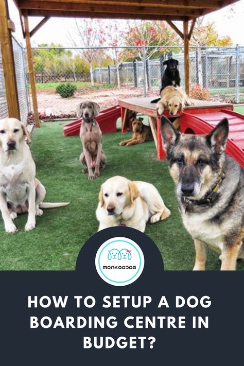 Starting A Dog Boarding Business, Dog Boarding Facility Ideas At Home, Starting A Dog Kennel Business, In Home Dog Daycare Ideas, At Home Dog Daycare, Pet Boarding Business Ideas, In Home Dog Boarding, Doggy Daycare Business, Dog Boarding Facility Ideas