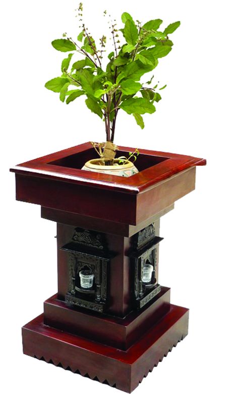 The Holy Plant Lokkhi Thakur, Thulasi Madam, Thulasi Plant Decoration, Tulsi Vrindavan, Thulasi Plant, Tulsi Pooja, Tulasi Plant, Tulsi Pot, Tulsi Plant