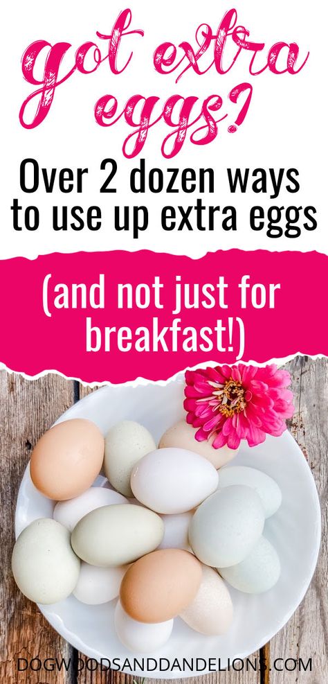 Recipe Using Lots Of Eggs, Egg Recipes For Lunch, Creative Egg Recipes, Cooking Poached Eggs, Egg Nutrition Facts, Chorizo And Eggs, Recipes For Lunch, No Egg Desserts, Easy Egg Recipes