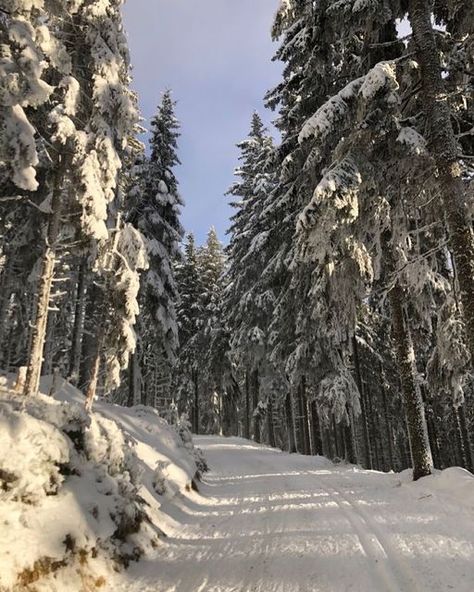 Snow Cottage Aesthetic, Austria In The Winter, Forest Winter Aesthetic, Winter Countryside Aesthetic, Winter In Europe Aesthetic, January Core Aesthetic, January 2023 Aesthetic, Austria Aesthetic Winter, Green Winter Aesthetic