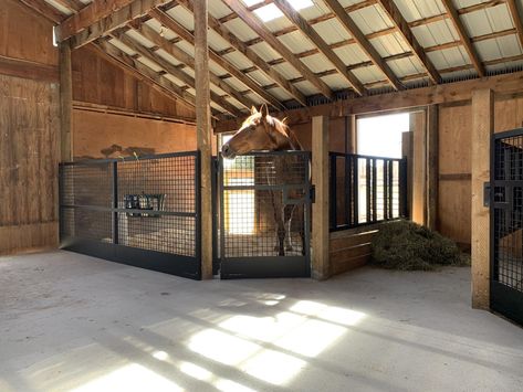 Horse Stables Small, Dream Barn Stables, Horse Farm Ideas, Horse Barn Ideas Stables, Barn Stalls, Horse Barn Designs, Horse Shelter, Dream Stables, Goat Barn