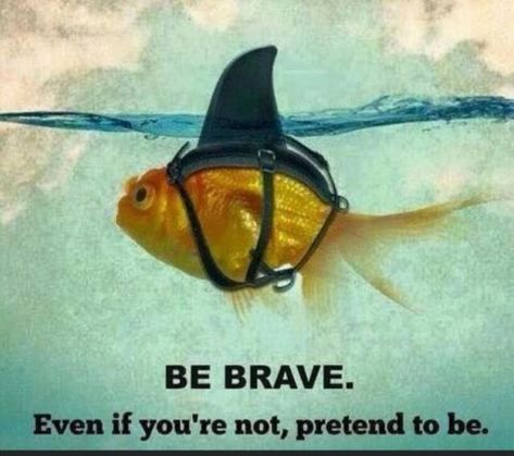 Be Brave Comfort Zone Quotes, Funny Motivational Quotes, Lines Quotes, Be Brave, Go For It, Inspiring Quotes About Life, Comfort Zone, Image Quotes, Wisdom Quotes