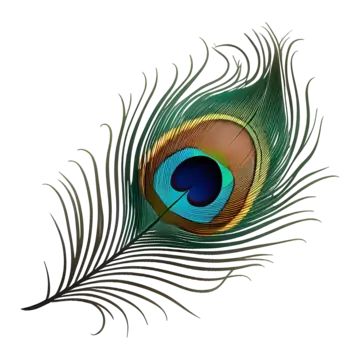 creative peacock feather logo,single peacock bird feather,peacock feather,feather,peacock,wings,green peacock,peacock feather pattern,feathers falling,beautiful feather,quill,peacock ling,feather decoration,colored feathers,creative,birds,a feather,feathers,colorful peacock feathers,animal feather,decoration,beautiful,hand painted,cartoon,hand,colored,painted,ai generated Peacock Feather Outline, Peacock Feather Logo, Peacock Leaf, Peacock Feather Decor, Feather Png, Feather Outline, Peacock Wings, Peacock Feather Art, Colored Feathers