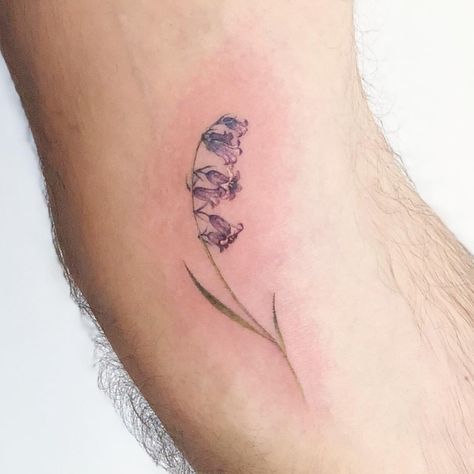 Dani on Instagram: “Blue bell flowers.  #nyctattoo #nyctattooartist  #nyctattooartist #nyctattooshop #nyctattoos #flowertattoo #smalltattoos #flowertattoo…” Canterbury Bells Tattoo, Blue Bell Tattoo Black, Bell Flowers Tattoo, Bluebell Flower Tattoo, Bell Flower Tattoo, Blue Bell Tattoo, Simple Bluebell Tattoo, Chilean Bellflower Tattoo, Minimalist Bluebell Tattoo