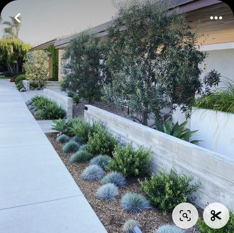 Retaining Wall Garden Front Yard, California Landscaping, Curb Appeal Landscape, Coastal Landscaping, Australian Native Garden, Front Garden Landscape, Landscaping Retaining Walls, Front Garden Design, Australian Garden