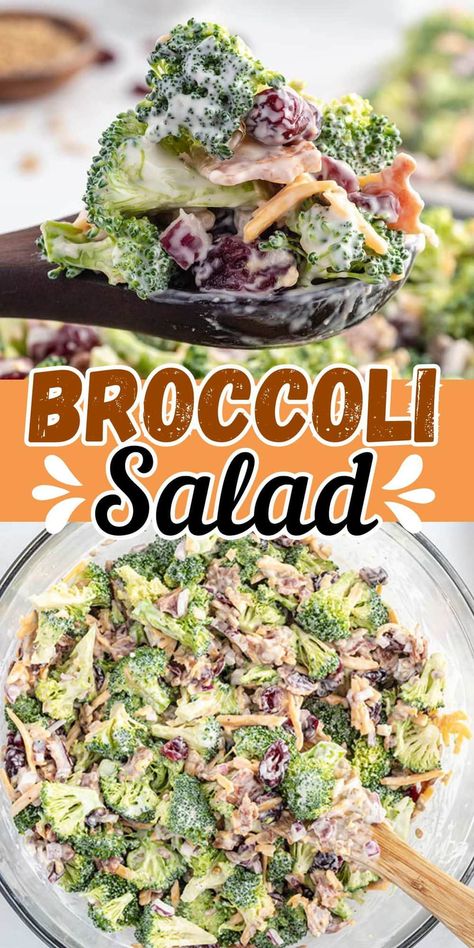 Broccoli Salad Broccoli Salad Videos, Thanksgiving Paleo, Broccoli Salad Recipe Easy, Grad Food, Best Broccoli Salad Recipe, Easy Broccoli Salad, Broccoli Cauliflower Salad, Easy Broccoli, Broccoli Salad Recipe