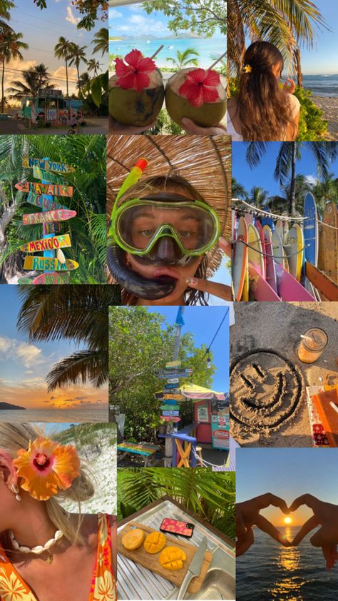 Hawaiian coconut girl collage Coconut Girl Collage, Coconut Girl, Palm Trees, The Beach, Coconut, Trees, Collage