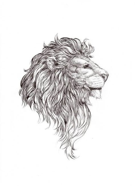 Uncle Tattoo, Lion Profile, Jungle Tattoo, Images Noêl Vintages, Lion Drawing, Lion Tattoo Design, Theme Tattoo, Creation Art, Lion Art