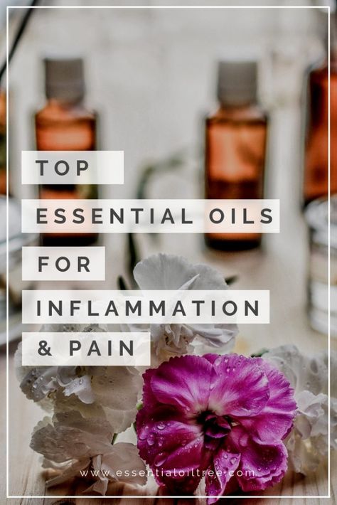 Pain. We’ve all dealt with it at some point in our lives and trying to find what works for our own body can be exhausting, time-consuming and expensive.   There is a ton of information out there to consume and consider. In this article, you will find what myself and the collective agreement of professionals in the essential oil industry have deemed worthy of reducing pain and inflammation among a myriad of ailments. Essential Oils For Foot Pain, Essential Oils For Swelling Inflammation, Essential Oil Pain Relief Recipes, Essential Oils For Pain And Inflammation, Oils For Swelling, Inflammation Essential Oils, Essential Oils For Back Pain, Essential Oil For Swelling, Oils For Inflammation