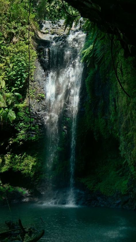 Amazon Forest, Waterfall Photography, Pretty Landscapes, Beautiful Waterfalls, Alam Semula Jadi, Nature Aesthetic, Lock Screen, Pretty Places, Green Aesthetic