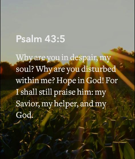 Psalms 43:5 Psalm 43, Hope In God, Biblical Quotes, Psalms, Verses, Bible Verses, Spirituality, Bible, Quotes