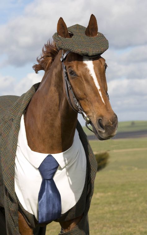 A horse wearing a suit was featured in GQ. Amazing. I am particularly fond of animals that have hats. Horse Suit, Menswear Dog, Horse Halloween Costumes, Horse Halloween, Horse Costume, A Clothes Horse, 33rd Birthday, Horse Costumes, Horse Dress