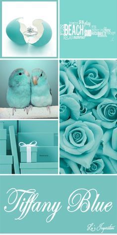 Tiffany Blue Beach Wedding, Blue Beach Wedding, Tiffany T, Azul Tiffany, Color Schemes Colour Palettes, Palette Ideas, Mood Colors, Color Collage, Shades Of Turquoise